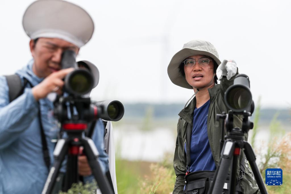 九五至尊2官方